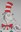 Cat in the hat